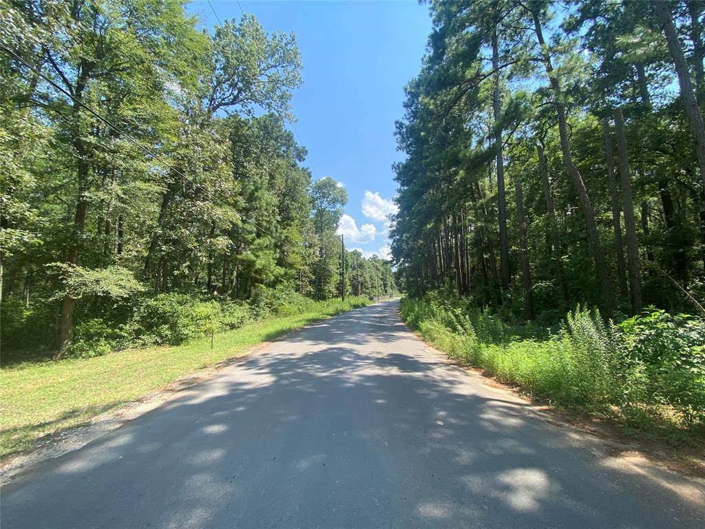 Sycamore Lane, Plantersville, Texas image 7