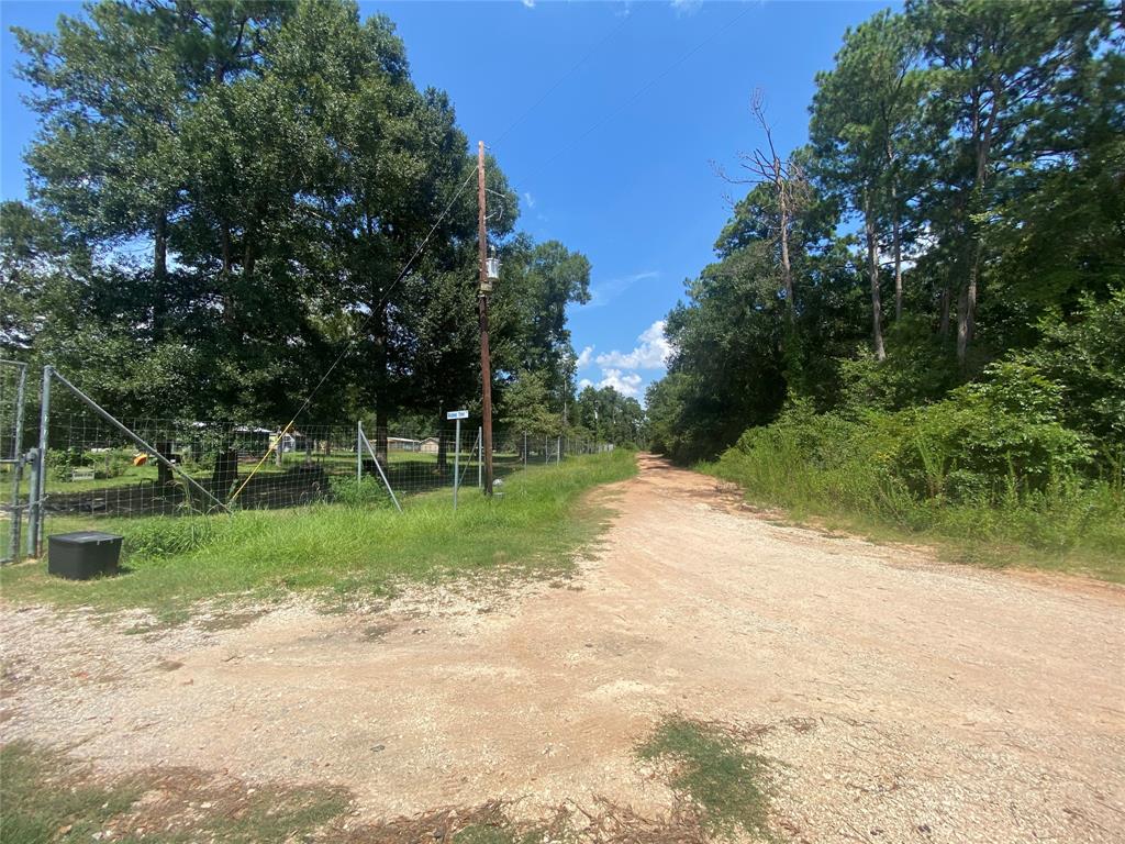 Sycamore Lane, Plantersville, Texas image 16