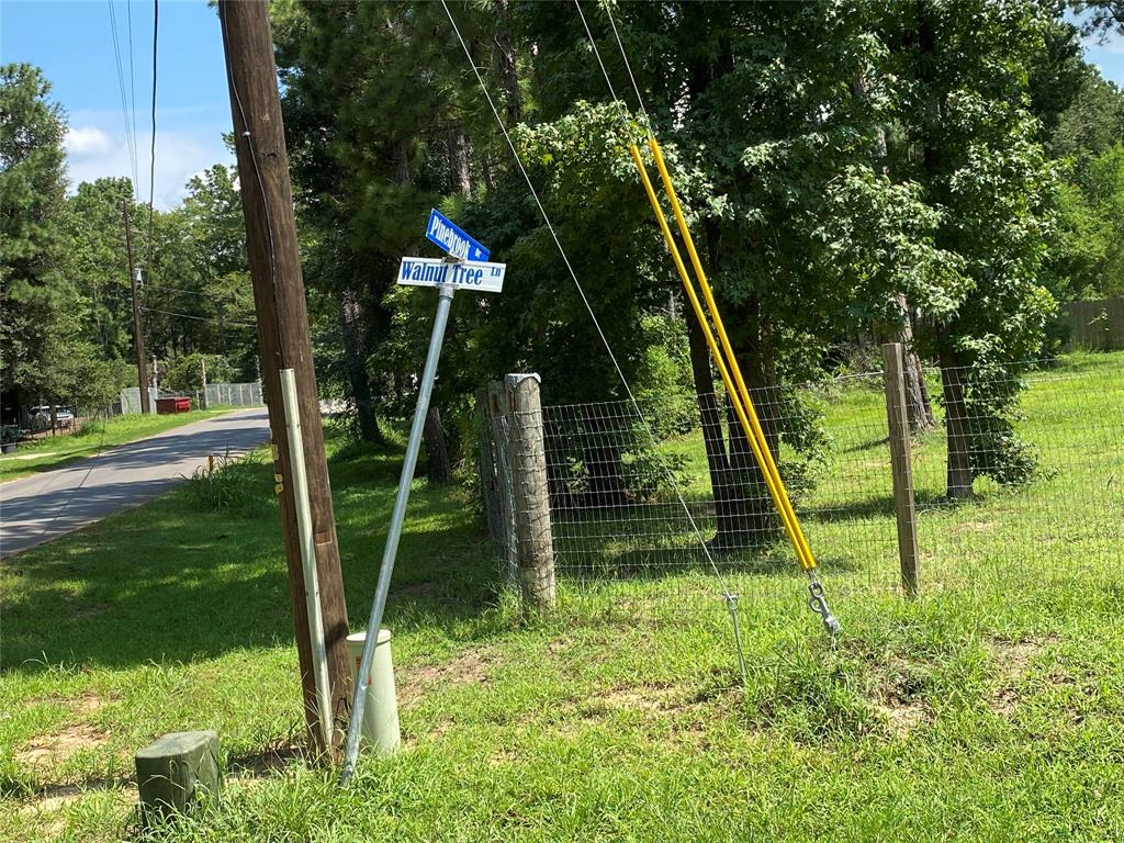 Sycamore Lane, Plantersville, Texas image 13