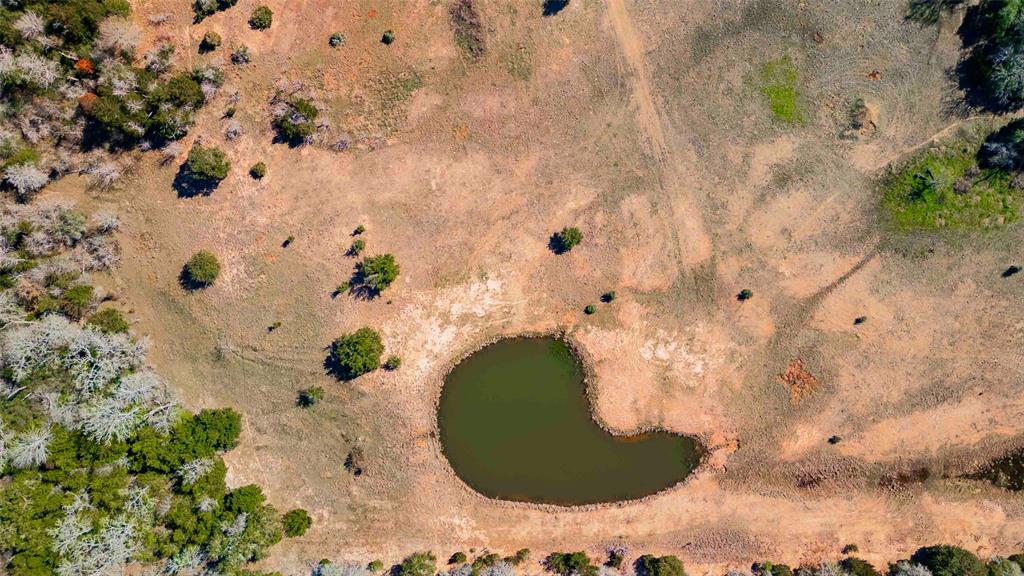 Tract 5 Nassau, Round Top, Texas image 8