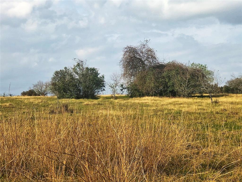 TBD County Road 221, Schulenburg, Texas image 5