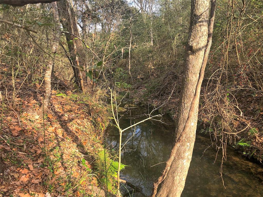 TBD County Road 221, Schulenburg, Texas image 13