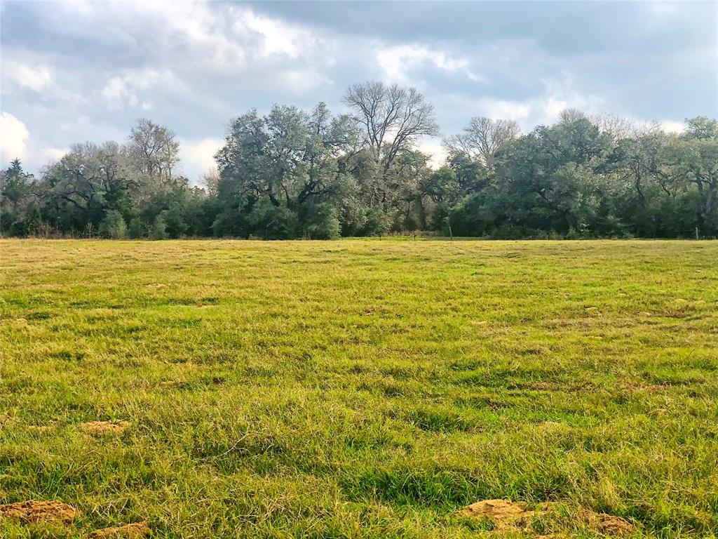 TBD County Road 221, Schulenburg, Texas image 9