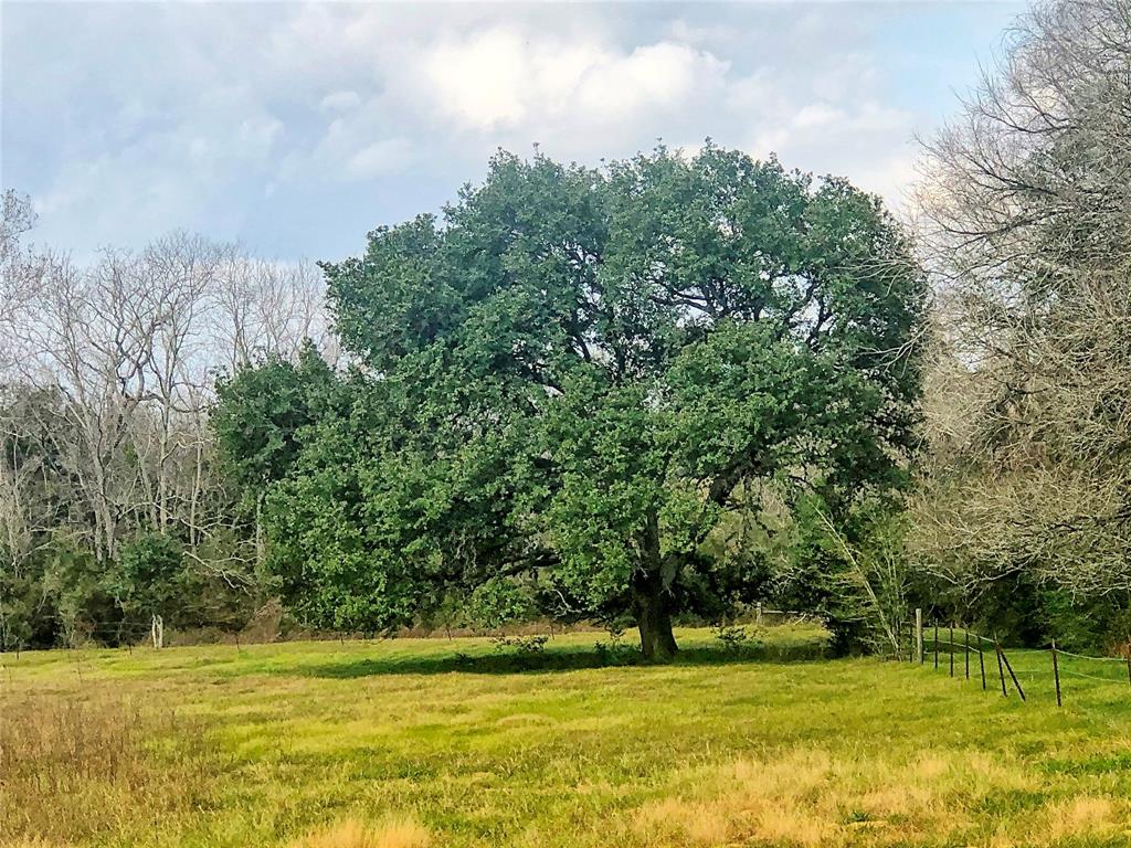 TBD County Road 221, Schulenburg, Texas image 12