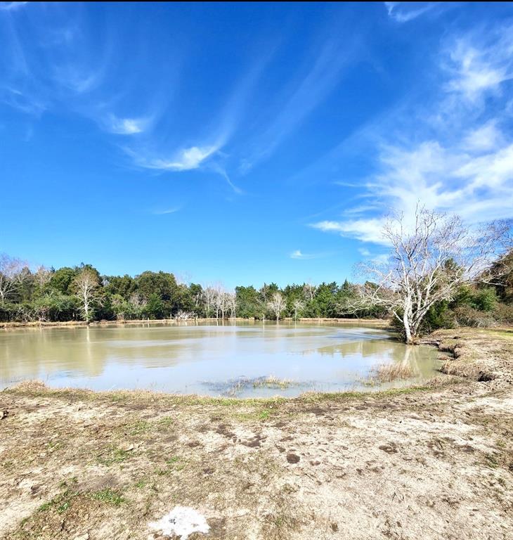 1083 County Road 147, Alvin, Texas image 37