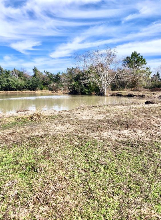 1083 County Road 147, Alvin, Texas image 36