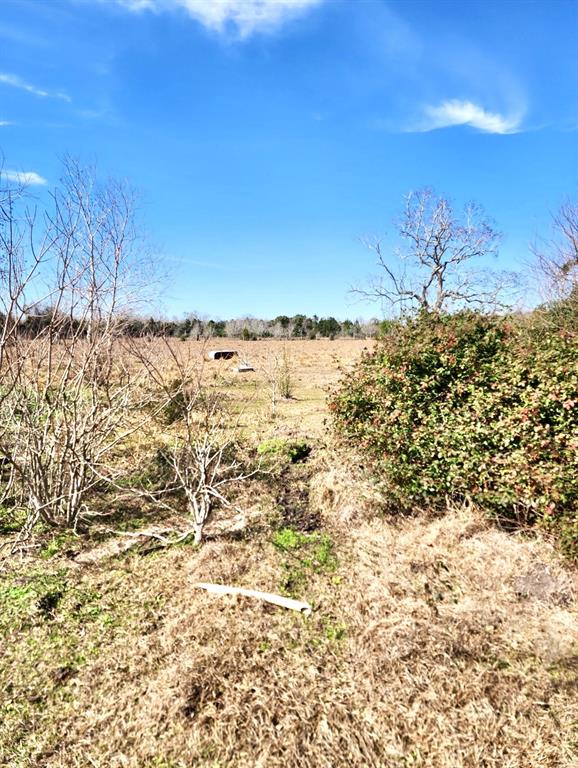 1083 County Road 147, Alvin, Texas image 35
