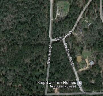 Lot 10 Shadows End Drive, Plantersville, Texas image 1