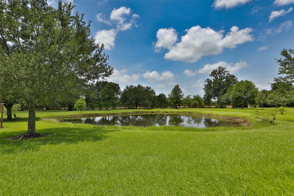 21030 Frey Lane, Tomball, Texas image 44