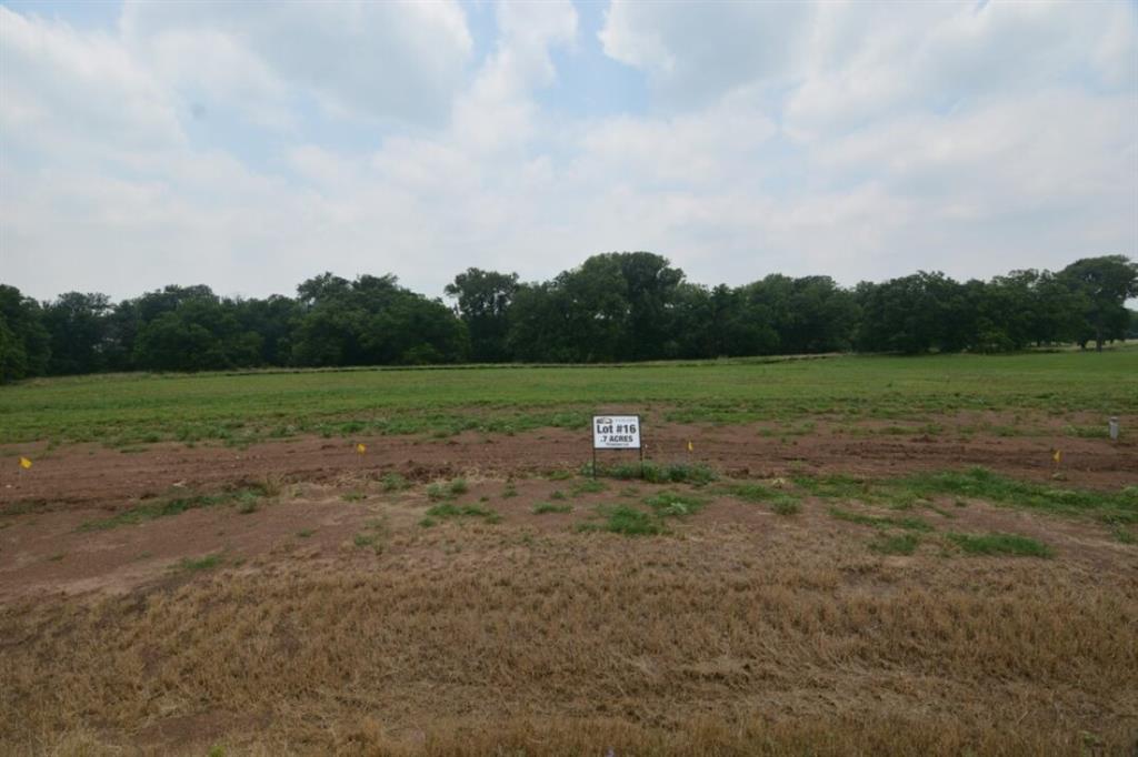 Lot 16 Moonlight Drive, Smithville, Texas image 1