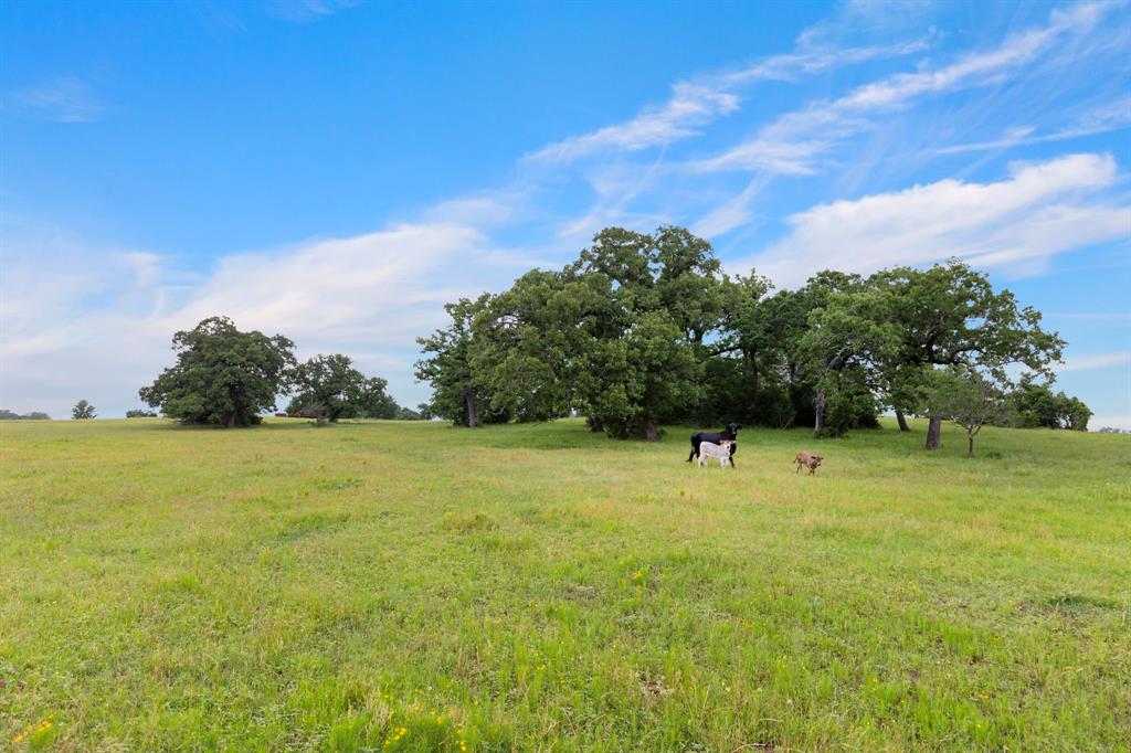 1574 Highway 30, Anderson, Texas image 24