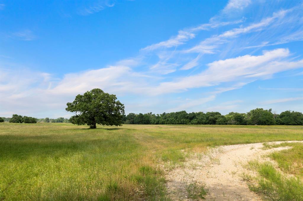 1574 Highway 30, Anderson, Texas image 31