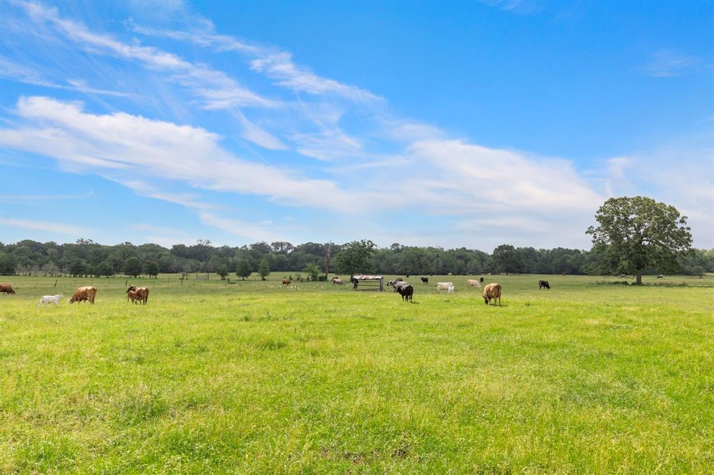 1574 Highway 30, Anderson, Texas image 32