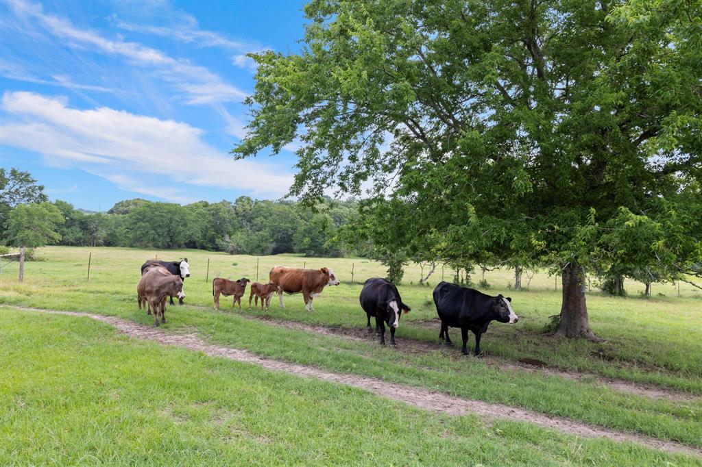1574 Highway 30, Anderson, Texas image 30