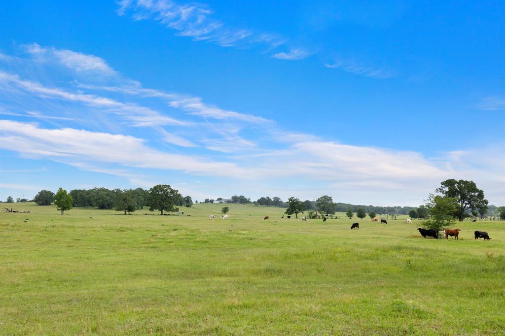 1574 Highway 30, Anderson, Texas image 22