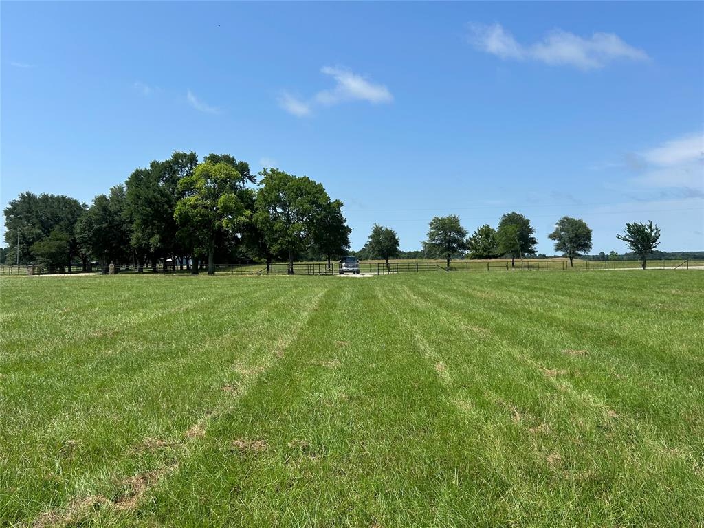 38645 Wiggins Road, Hempstead, Texas image 2