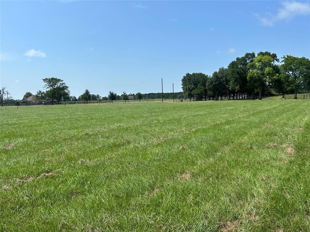 38645 Wiggins Road, Hempstead, Texas image 3