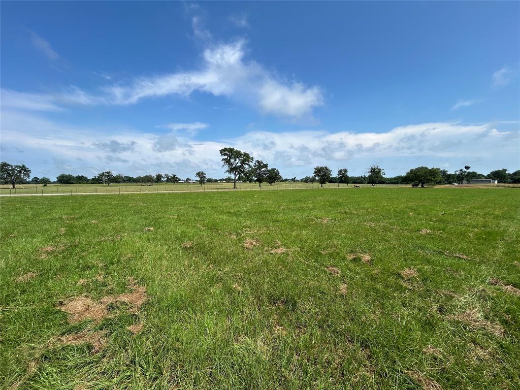 38645 Wiggins Road, Hempstead, Texas image 4