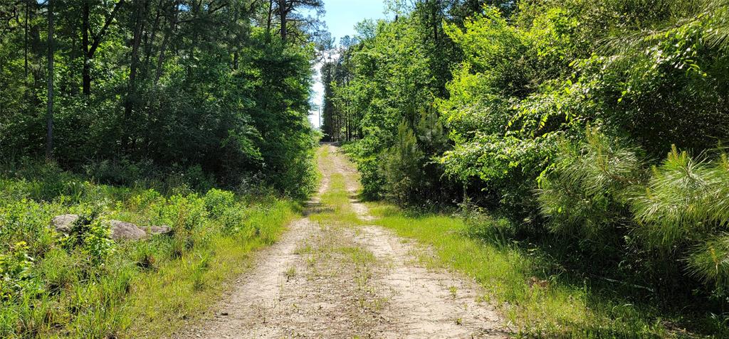 TBD E Cripple Creek, Trinity, Texas image 23