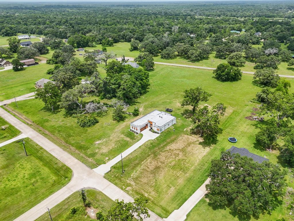 209 Horse Shoe Trail, Angleton, Texas image 29