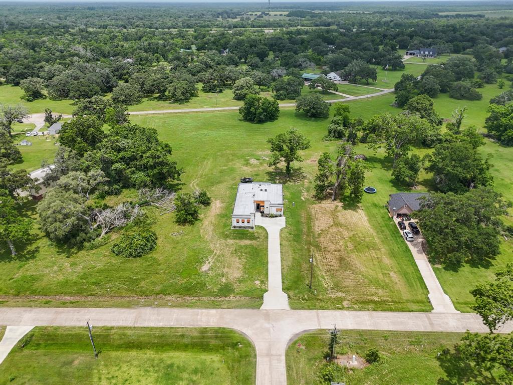 209 Horse Shoe Trail, Angleton, Texas image 28