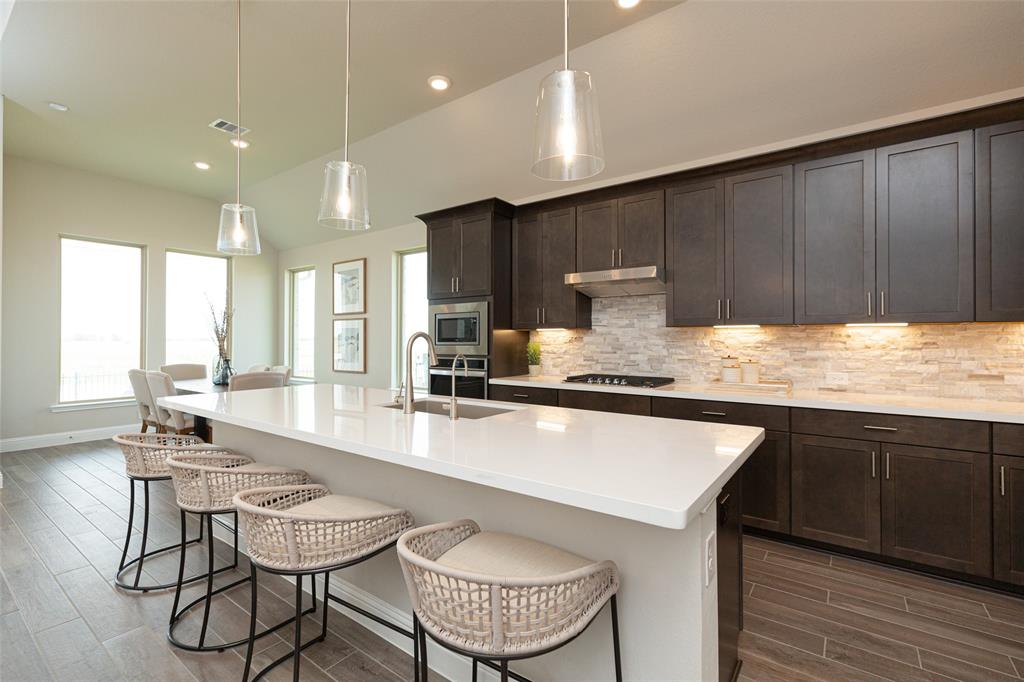 21210 Prancing Pony Trail