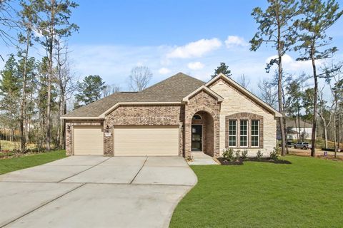 18215 Samie Nell Court Willis TX 77378