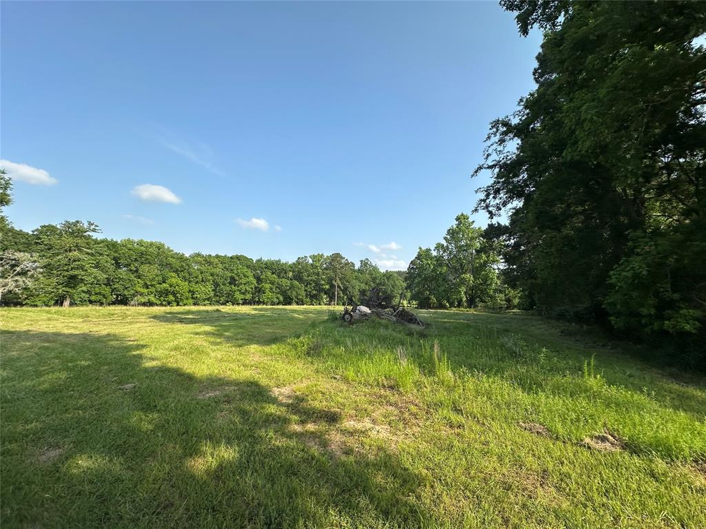 220 E Dalton, Coldspring, Texas image 5