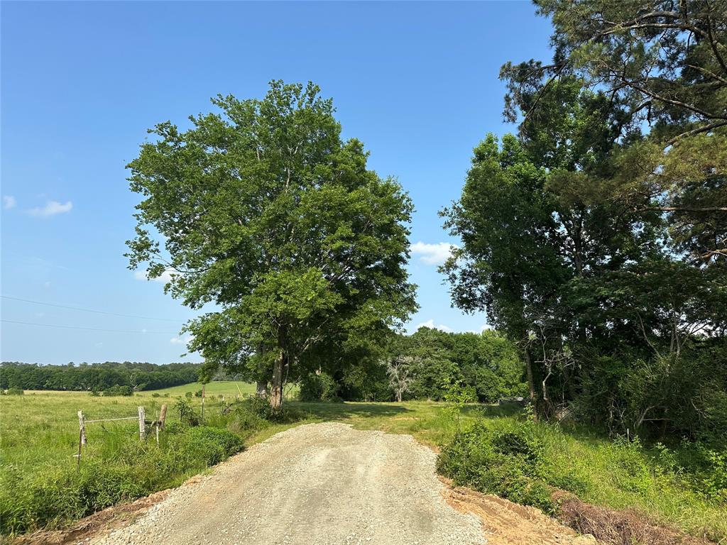 220 E Dalton, Coldspring, Texas image 6