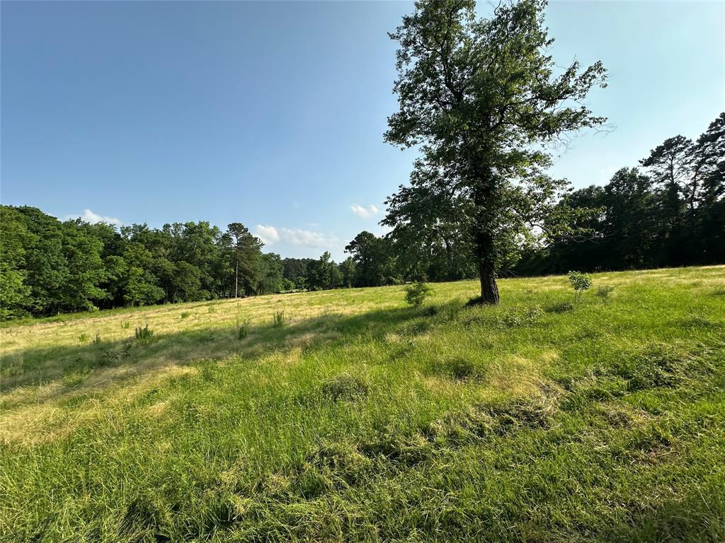 220 E Dalton, Coldspring, Texas image 4