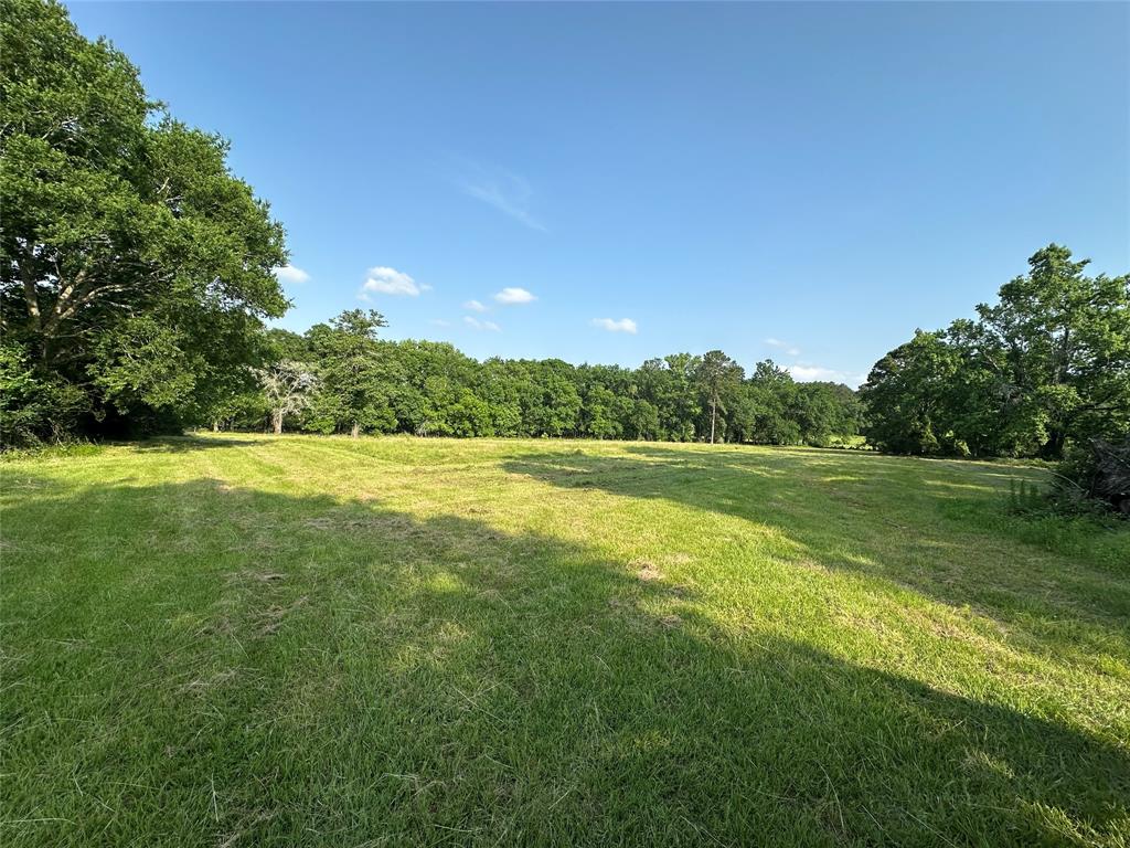 220 E Dalton, Coldspring, Texas image 8