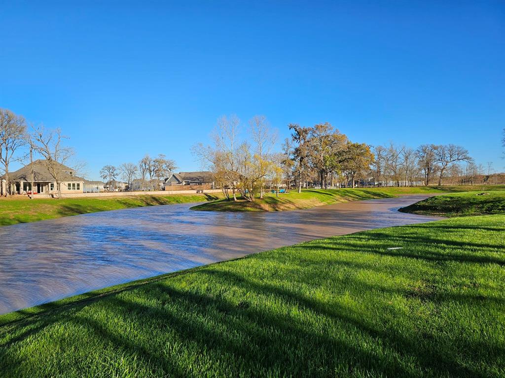32451 Violet Dancer Court, Fulshear, Texas image 40