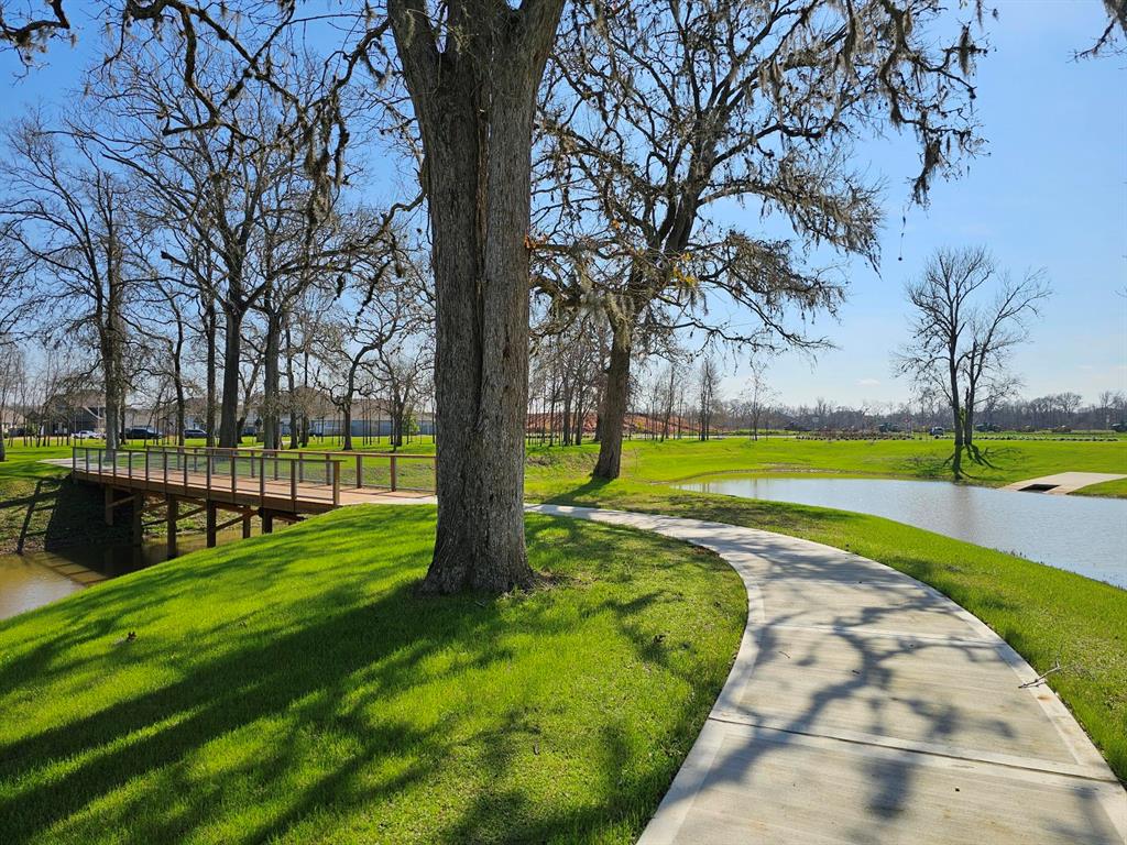 32451 Violet Dancer Court, Fulshear, Texas image 50