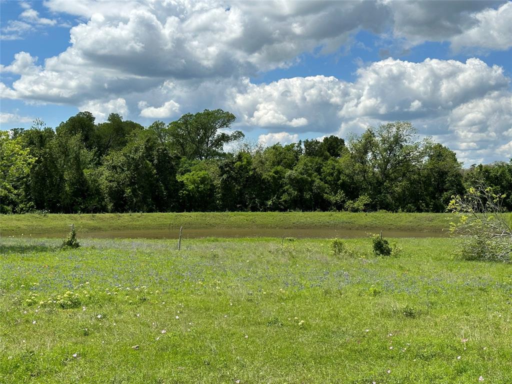 TBD - Lot 4 County Road 222, Schulenburg, Texas image 21