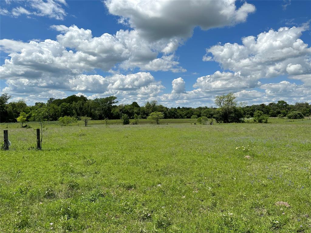 TBD - Lot 4 County Road 222, Schulenburg, Texas image 27