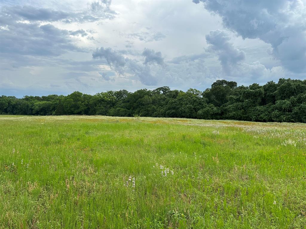 TBD - Lot 4 County Road 222, Schulenburg, Texas image 8