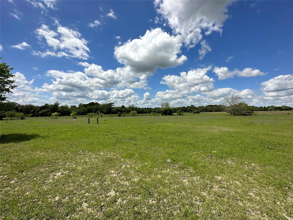 TBD - Lot 4 County Road 222, Schulenburg, Texas image 30