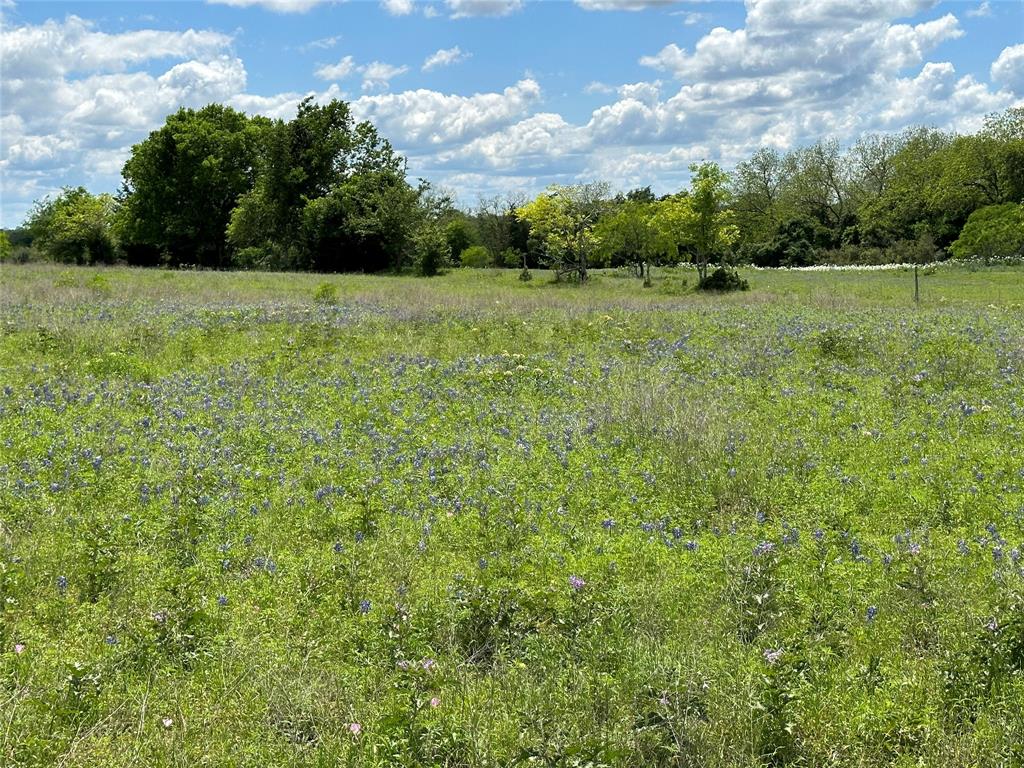 TBD - Lot 4 County Road 222, Schulenburg, Texas image 26