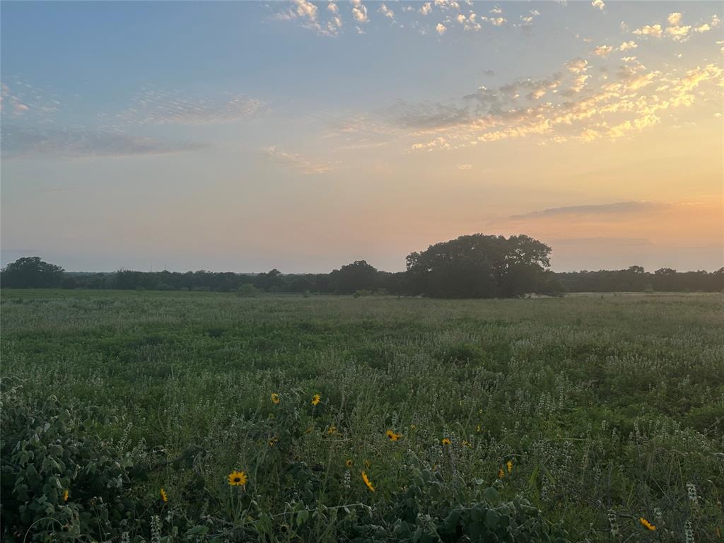 TBD - Lot 4 County Road 222, Schulenburg, Texas image 10