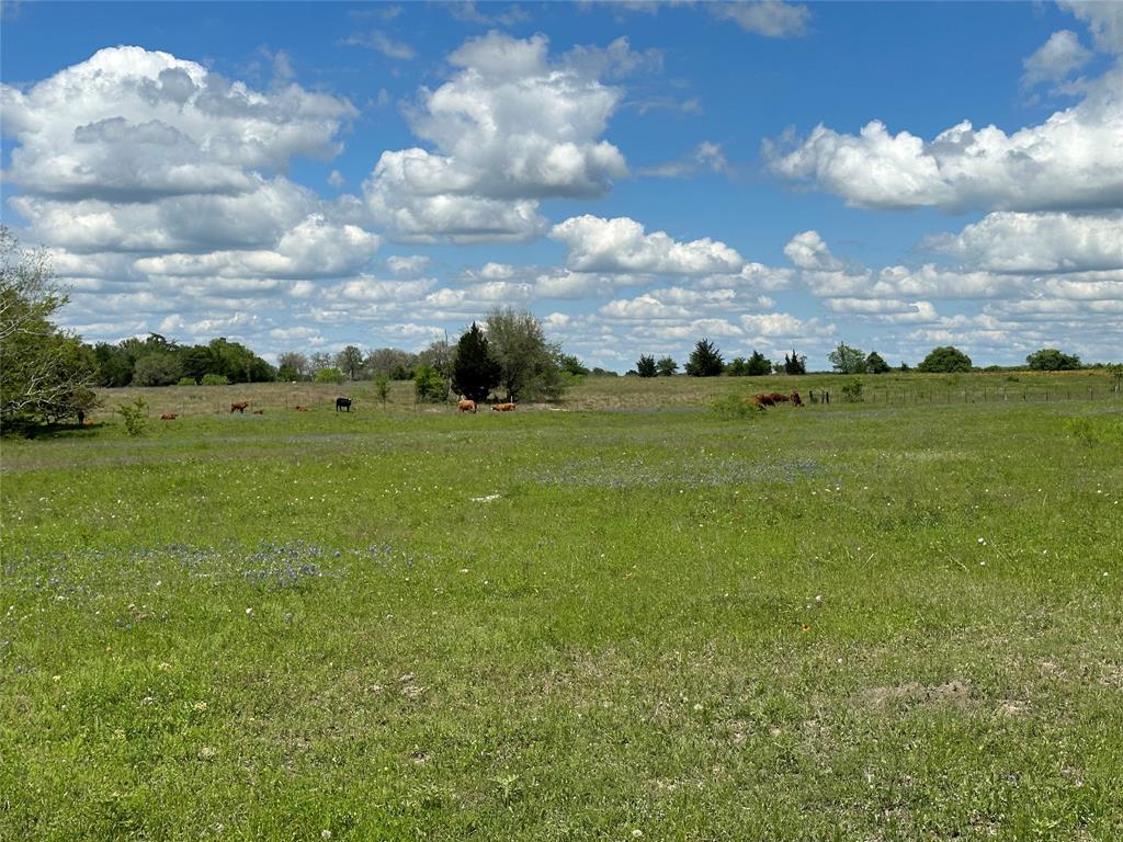 TBD - Lot 4 County Road 222, Schulenburg, Texas image 22