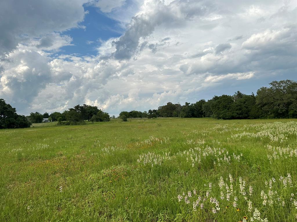 TBD - Lot 4 County Road 222, Schulenburg, Texas image 9