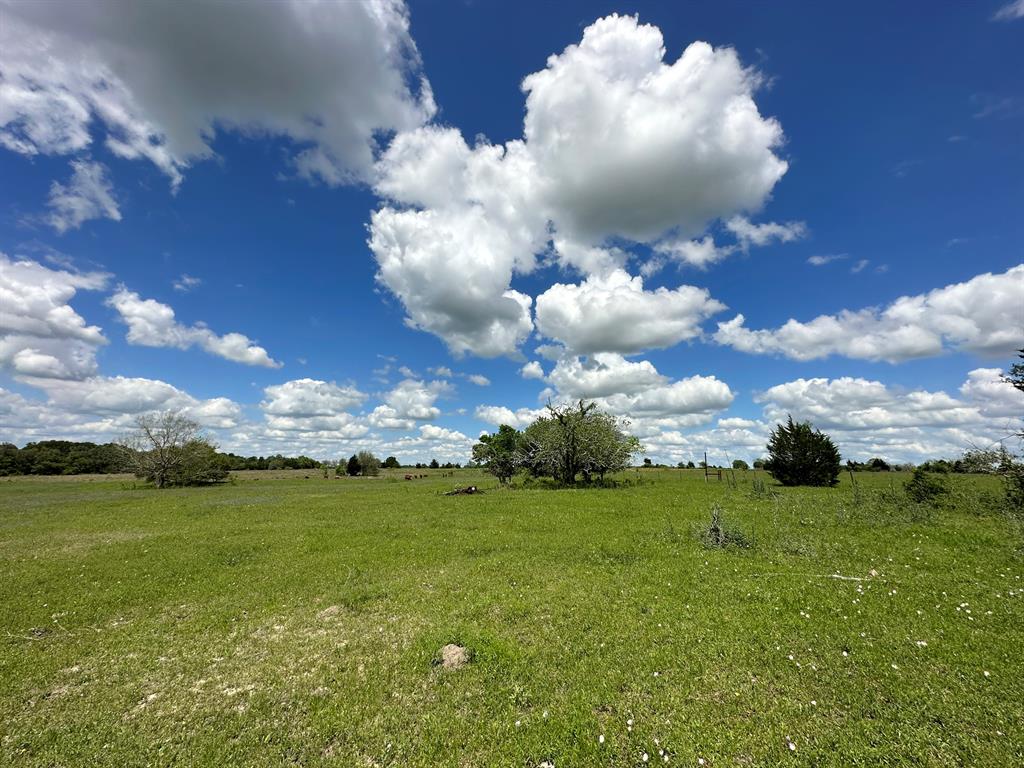 TBD - Lot 4 County Road 222, Schulenburg, Texas image 14