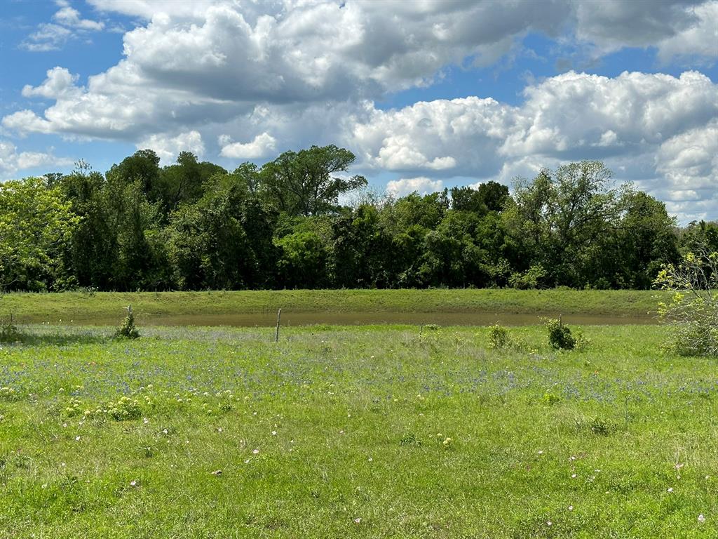 TBD - Lot 4 County Road 222, Schulenburg, Texas image 11