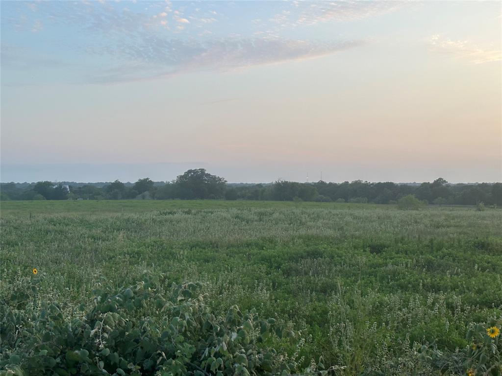 TBD - Lot 4 County Road 222, Schulenburg, Texas image 19
