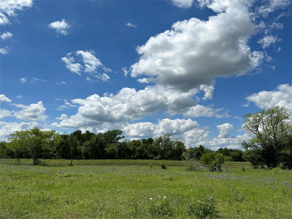 TBD - Lot 4 County Road 222, Schulenburg, Texas image 20