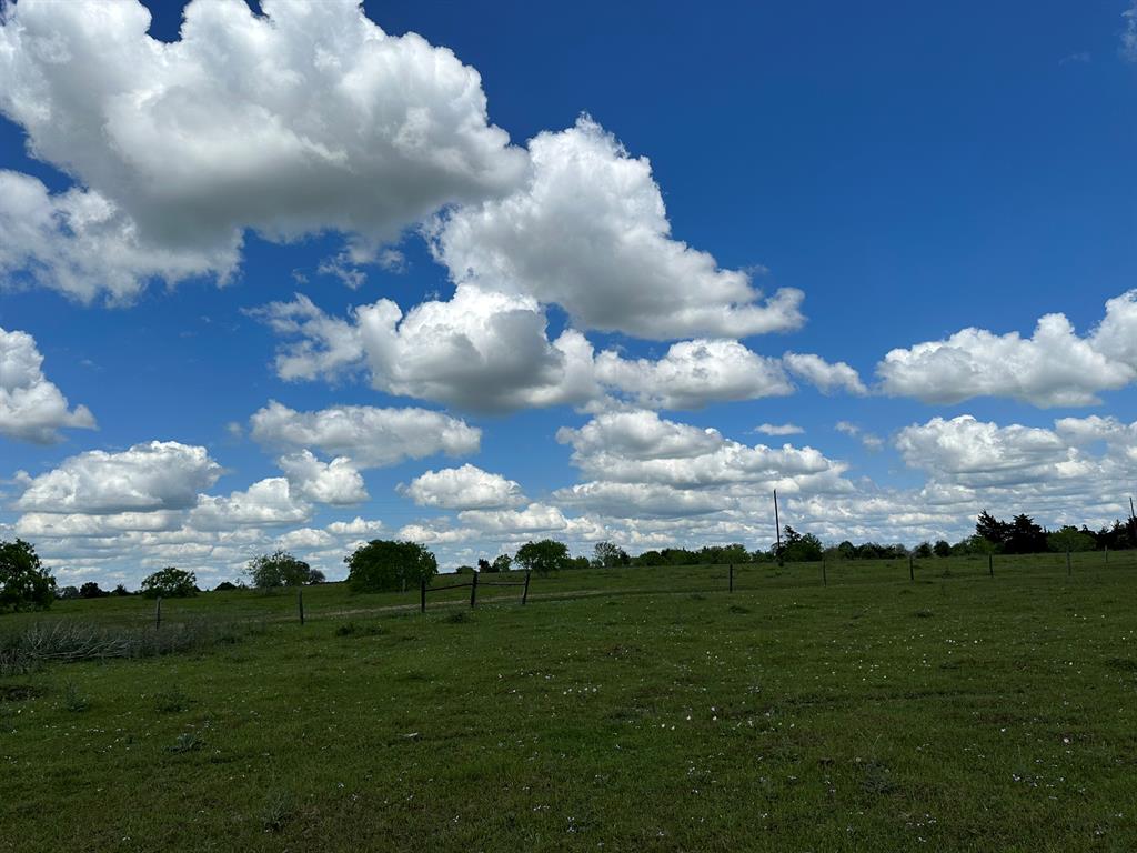 TBD - Lot 4 County Road 222, Schulenburg, Texas image 15