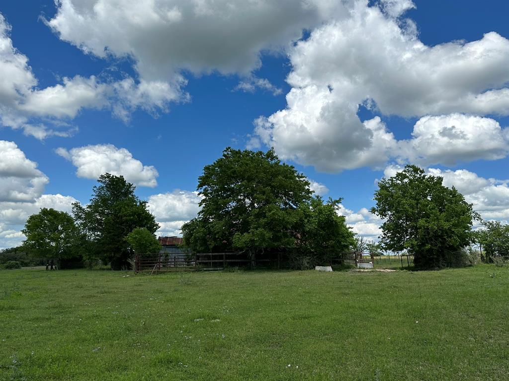 TBD - Lot 4 County Road 222, Schulenburg, Texas image 13