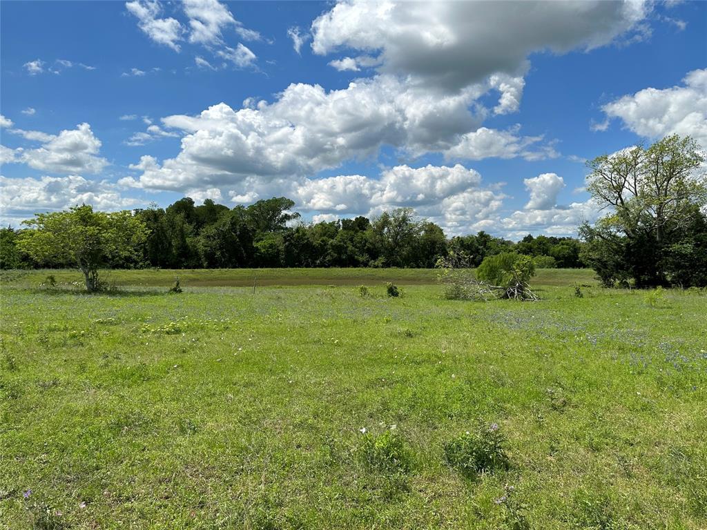 TBD - Lot 4 County Road 222, Schulenburg, Texas image 5