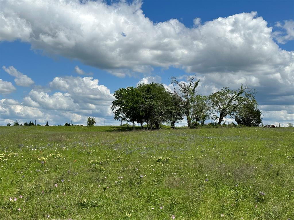 TBD - Lot 4 County Road 222, Schulenburg, Texas image 24