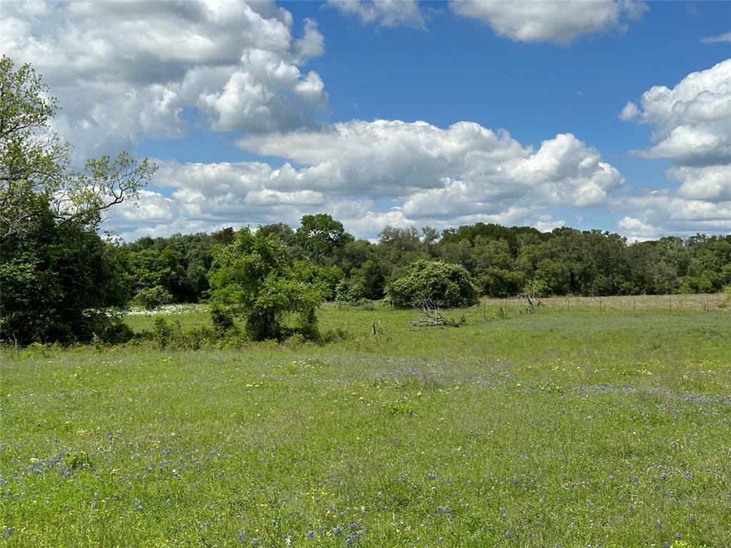 TBD - Lot 4 County Road 222, Schulenburg, Texas image 25